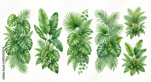 Vibrant Watercolor Illustration Set of Diverse Tropical Green Leaves and Exotic Foliage Arrangements for Nature-Inspired Designs