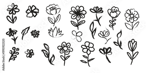 A collection of hand drawn floral sketches featuring various simple flower and leaf designs