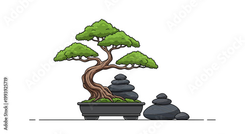 Bonsai tree in a pot.