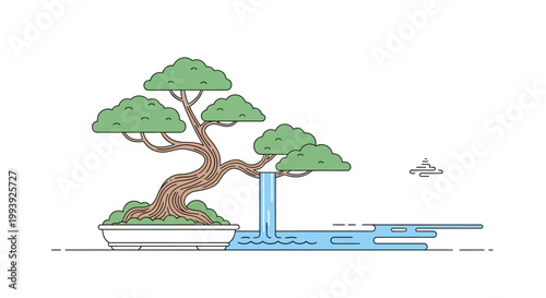 Bonsai Tree in a White Planter.