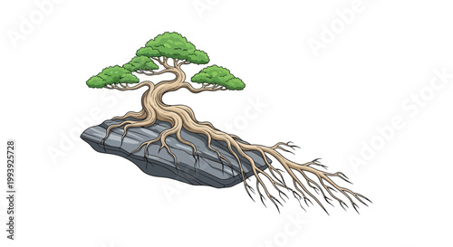 Bonsai Tree on Rock Formation.