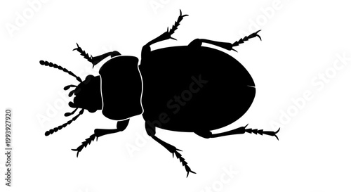 Black silhouette of a beetle insect.
