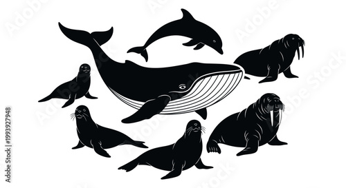 Black silhouettes of marine mammals group.