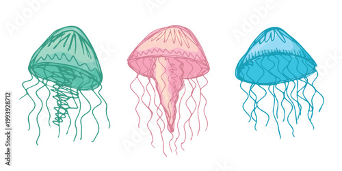 Set of hand drawn jellyfish doodle Sea animal illustration Cute marine underwater creature Medusa sketch clipart Single element for web, design, decor, children's print