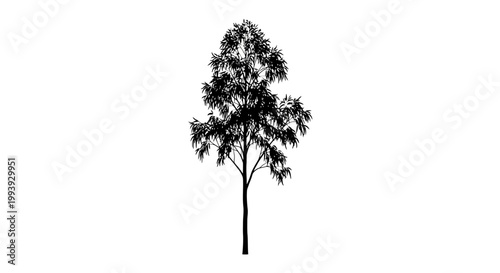 A tree with leaves and branches.