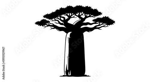 Baobab Tree Silhouette Black White.