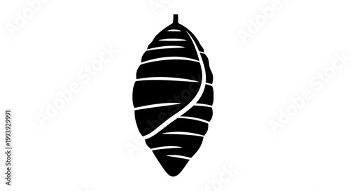 Black leaf illustration with white lines.