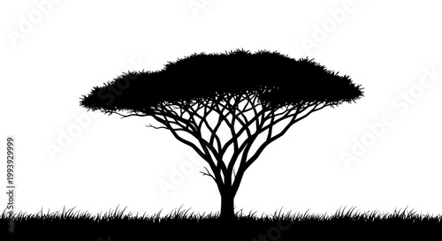 Black silhouette of a tree standing.