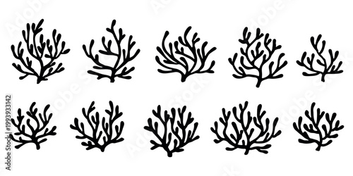 Hand drawn sea coral and seaweed doodle set Tropical underwater flora, aquarium plants, ocean plant, algae, coral reef, leaves, branches