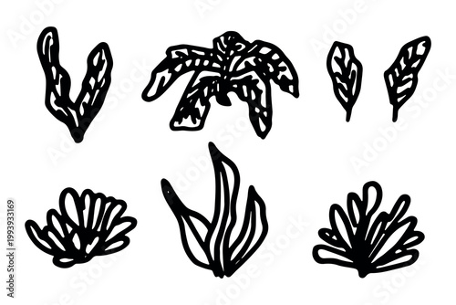 Hand drawn sea coral and seaweed doodle set Tropical underwater flora, aquarium plants, ocean plant, algae, coral reef, leaves, branches