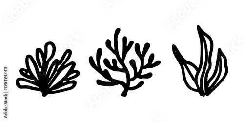 Hand drawn sea coral and seaweed doodle set Tropical underwater flora, aquarium plants, ocean plant, algae, coral reef, leaves, branches