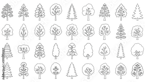 Extensive collection of various tree species sketches in black and white line art arranged in a neat grid pattern.