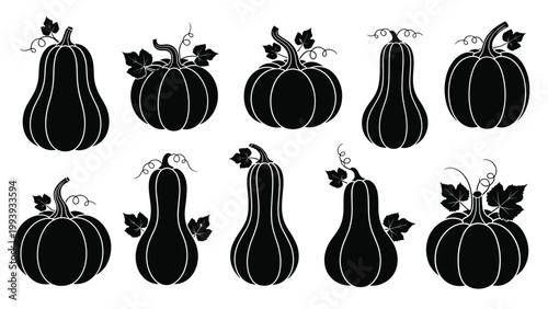 Collection of black silhouettes of various pumpkins and gourds in different shapes and sizes on a white background.