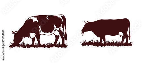 Cows are seen chewing grass in a collection of hand-drawn images.

