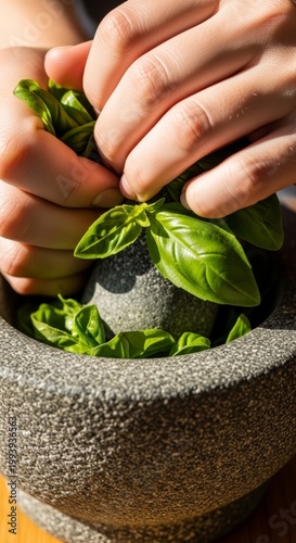Hands crushing fresh green basil leaves.