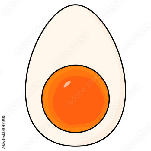 vector illustration of soft boiled egg