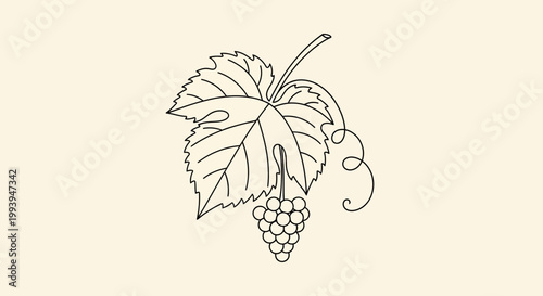Elegant black and white grape vine illustration on beige background
