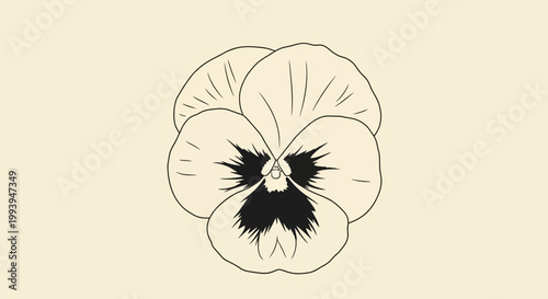 Elegant black and white pansy flower vector illustration on a soft beige background