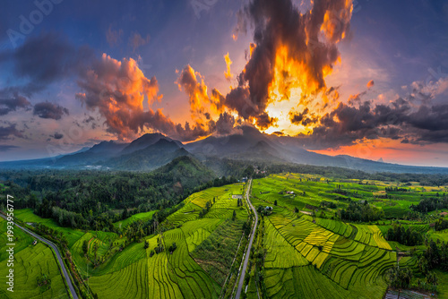 Beautiful morning view in Indonesia, panoramic landscape of rice fields with mountain ranges and clear sky