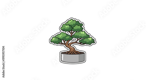 Bonsai tree in a pot.