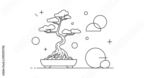 Bonsai Tree in a Pot.