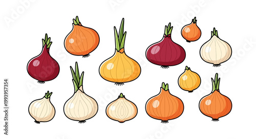 Colorful onions in various shapes sizes.