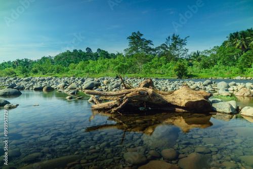 Beautiful morning view in Indonesia, panoramic landscape of rice fields with mountain ranges and clear sky