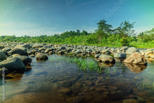 Beautiful morning view in Indonesia, panoramic landscape of rice fields with mountain ranges and clear sky