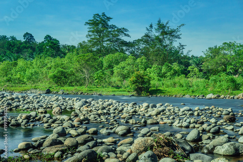 Beautiful morning view in Indonesia, panoramic landscape of rice fields with mountain ranges and clear sky