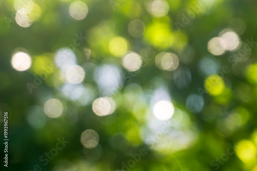 Abstract nature background of leaves with circular bokeh