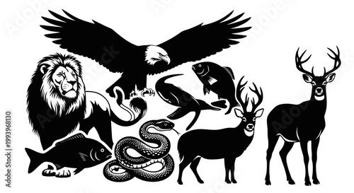 Photography Black silhouette of various wild animals.