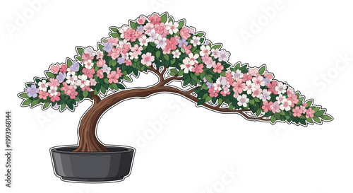 Bonsai Tree with Pink Flowers.