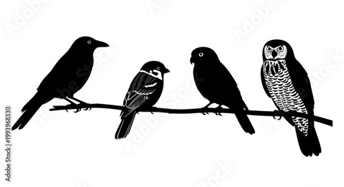 Four Birds Sitting on Branch Silhouette.