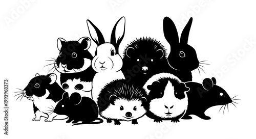 Group of Cute Small Furry Animals.