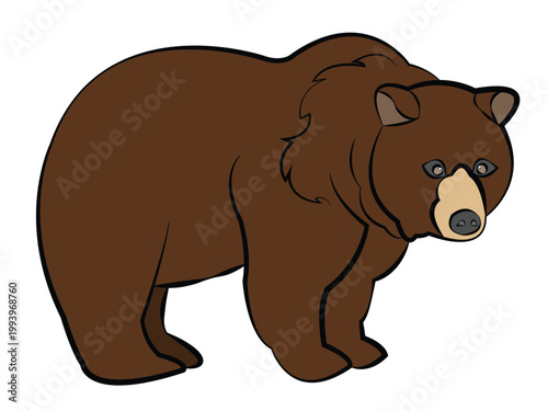A cartoon bear on a white background