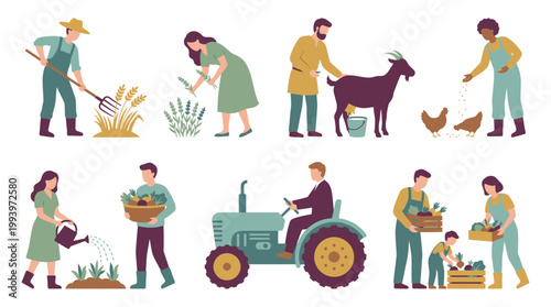 Set of agribusiness managers and professional farmers performing diverse agricultural tasks like harvesting and driving a tractor, concept for organic farming, sustainable food and local market