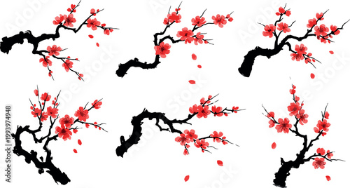 Japanese cherry blossom branches set sakura flowers with black ink tree limbs asian style floral vector illustration isolated