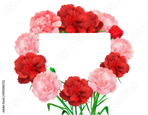 カーネーション　母の日