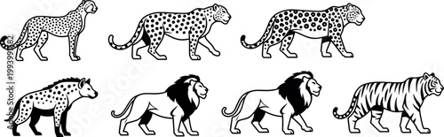 Vintage wild cat vector set, black and white safari animal icons, lion and tiger line art set
