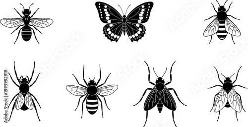 Vintage insect vector set, black and white butterfly and bee icons, 7 biological bug silhouettes