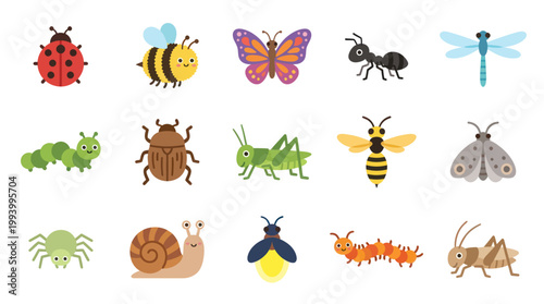 Cute Cartoon Insects Collection, Flat Vector Design