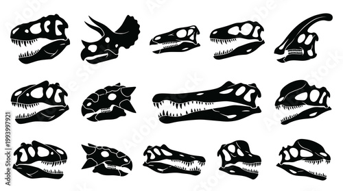 Black  White Dinosaur Skulls Vector Icons for Paleontology and Science