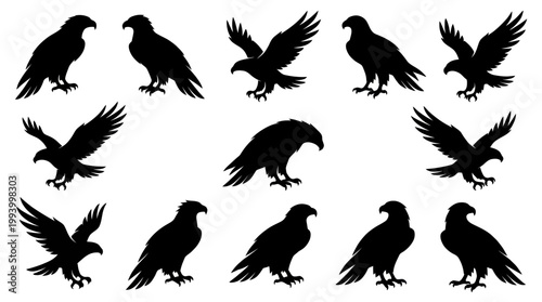 Majestic Eagle Silhouettes Set: Wildlife Birds of Prey Vector Icons  Symbol Collection