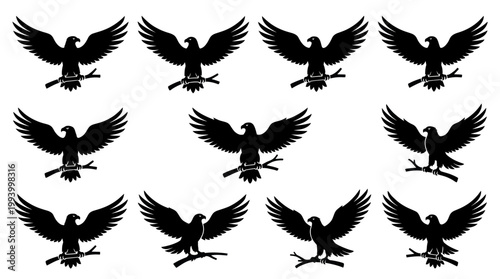 Black Silhouette Eagles Perched on Branches, Vector Graphics