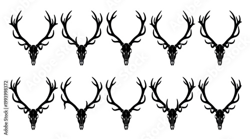 Black and White Deer Skull Antlers Vector Art
