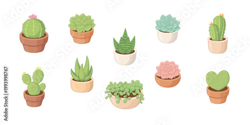 Charming succulent plant collection clipart and sticker set