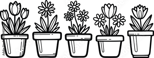 Charming botanical illustration a row of potted flowers in a sketch style