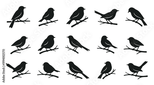 Black Silhouette Birds Perched On Tree Branches Vector Icons Set