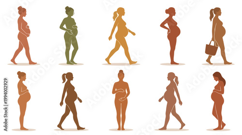 Pregnancy Maternity Medical Silhouettes: Flat Vector Pregnant Women