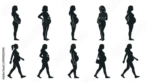 Pregnancy and Maternity Silhouettes: Set of Pregnant Women Stages Vector Icons